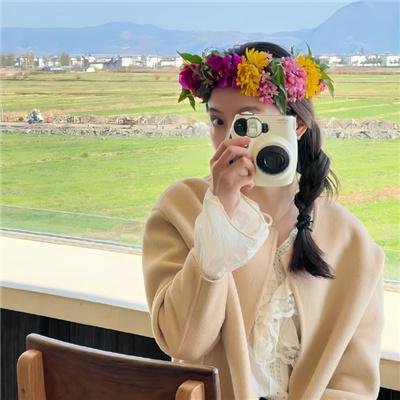 大宋奇案之狸猫换太子传奇